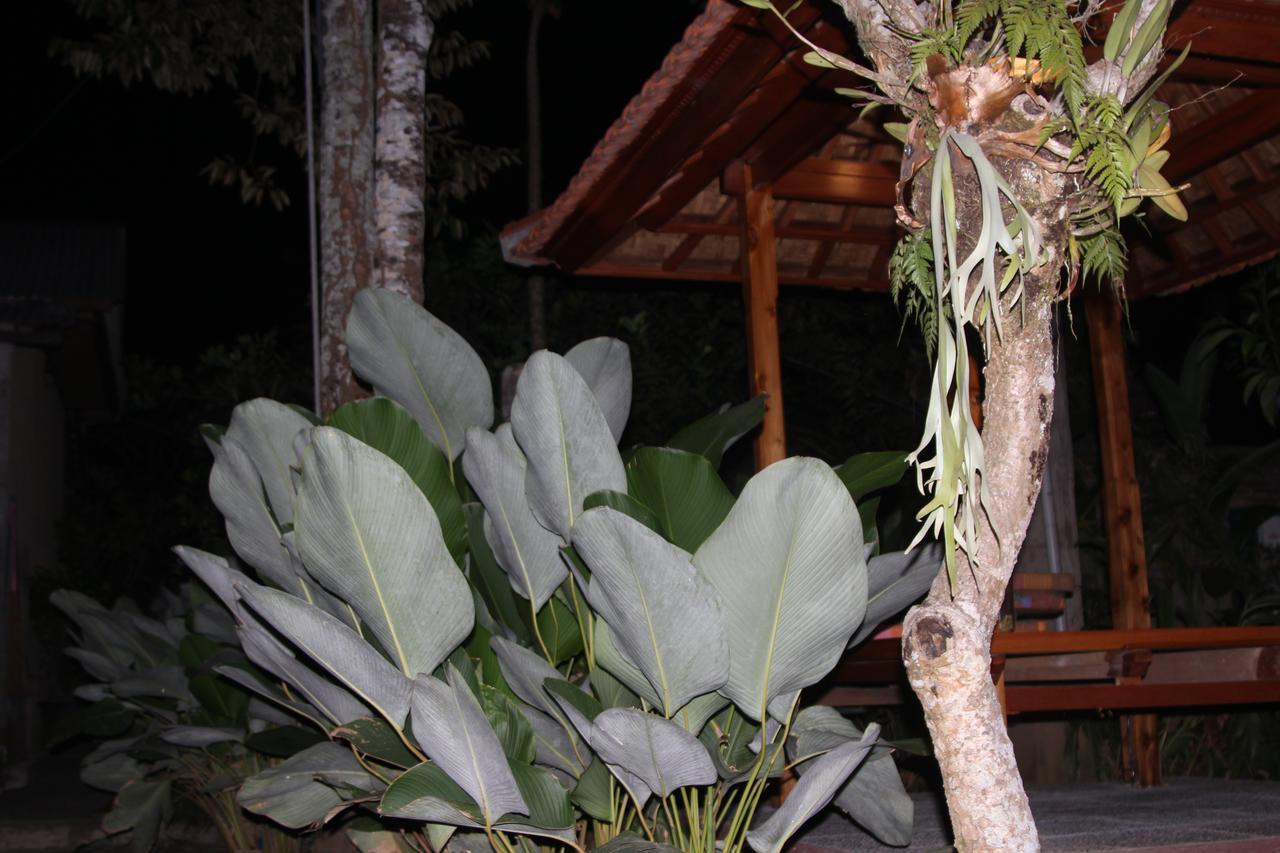 Jerogadung House Hotel อูบุด ภายนอก รูปภาพ